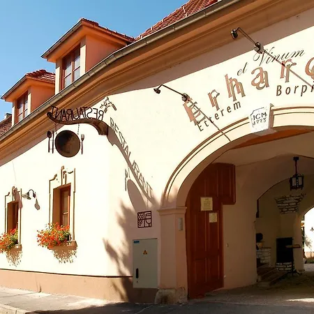 Erhardt Panzio Sopron